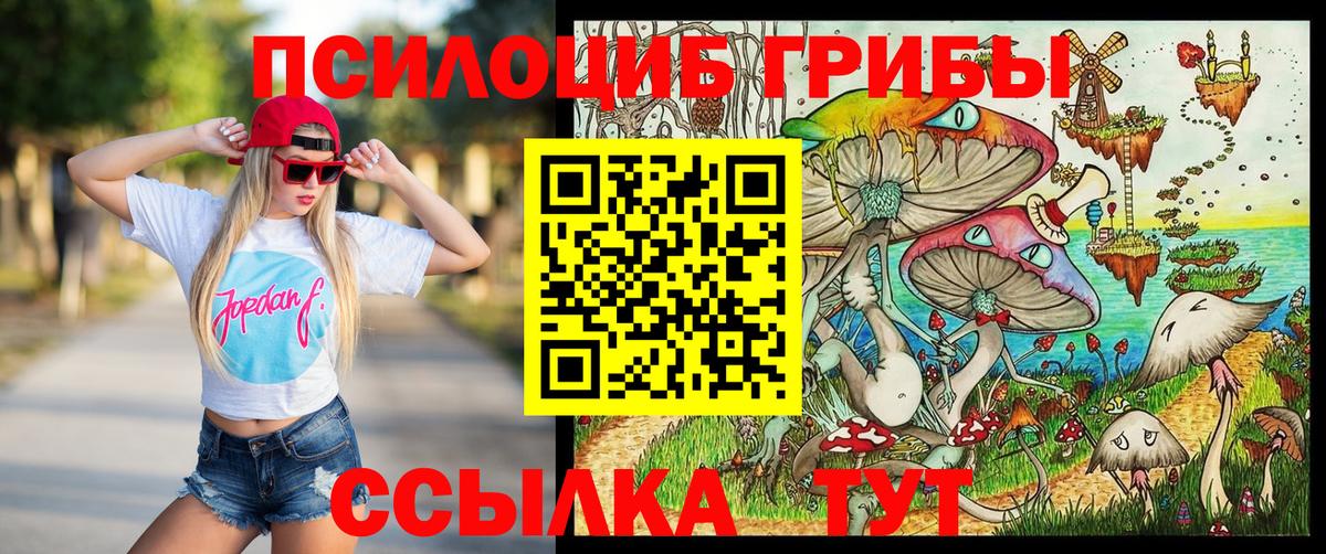 Мирный  Псилоцибиновые грибы Magic Shrooms  где можно купить   Вход с VPN 