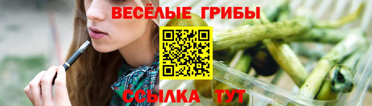 Галлюциногенные грибы Psilocybine cubensis Мирный